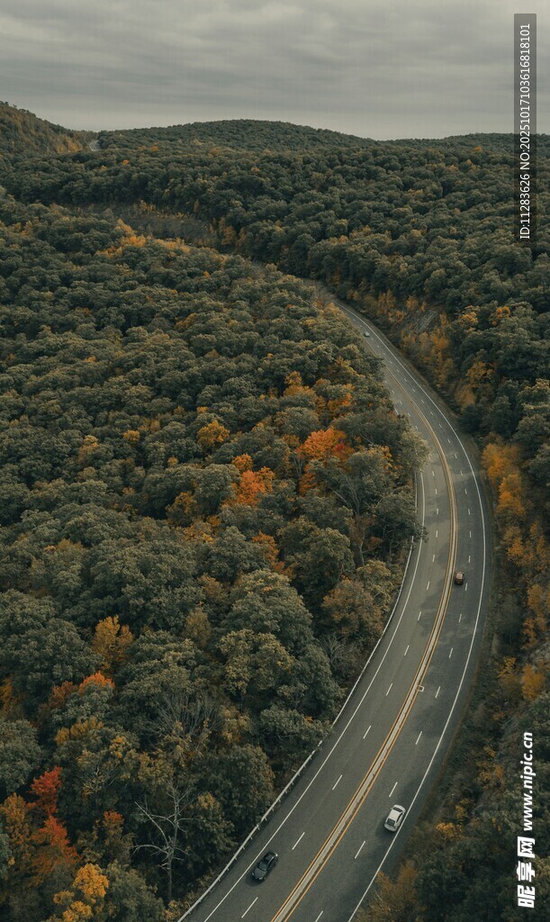 蜿蜒公路穿行多彩山林