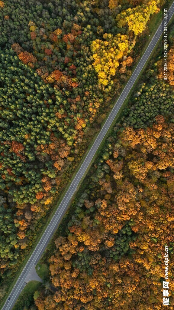 秋日公路航拍美景
