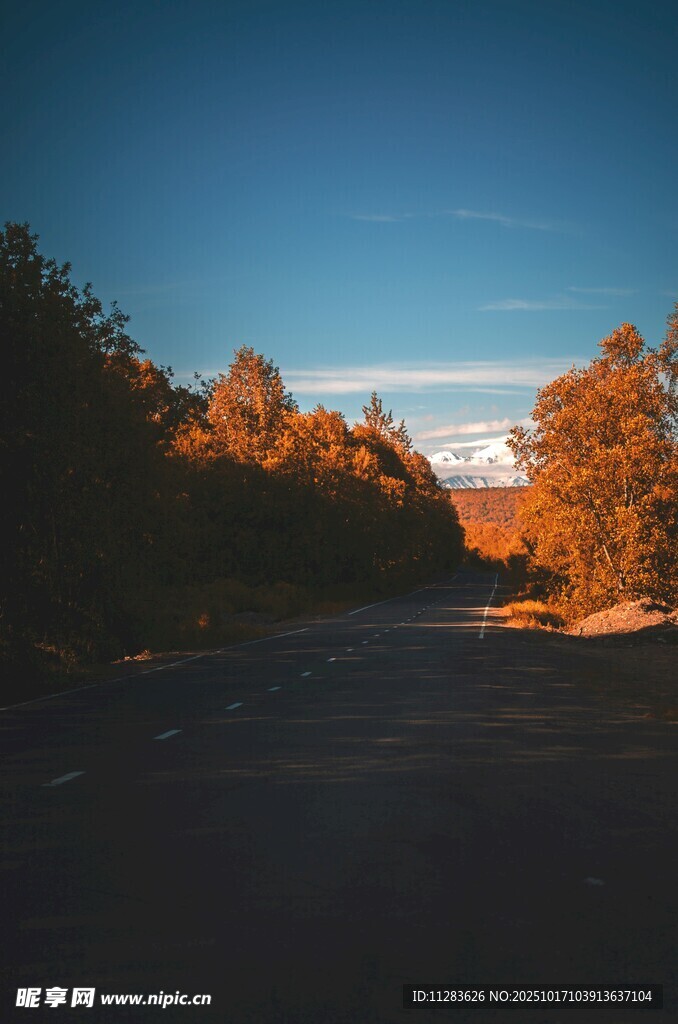 黄昏下的林间道路