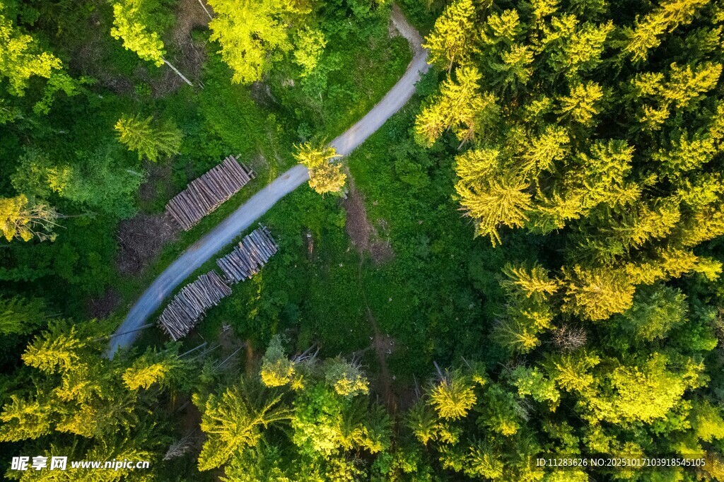 俯瞰山林间蜿蜒小路