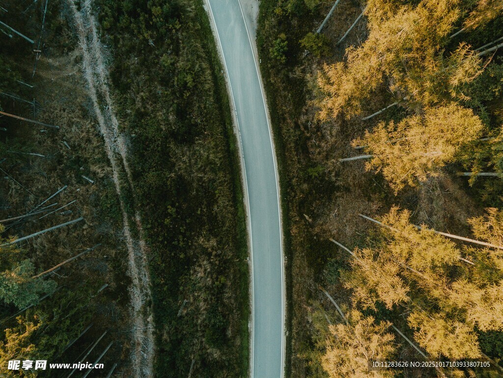秋日林间蜿蜒公路美景