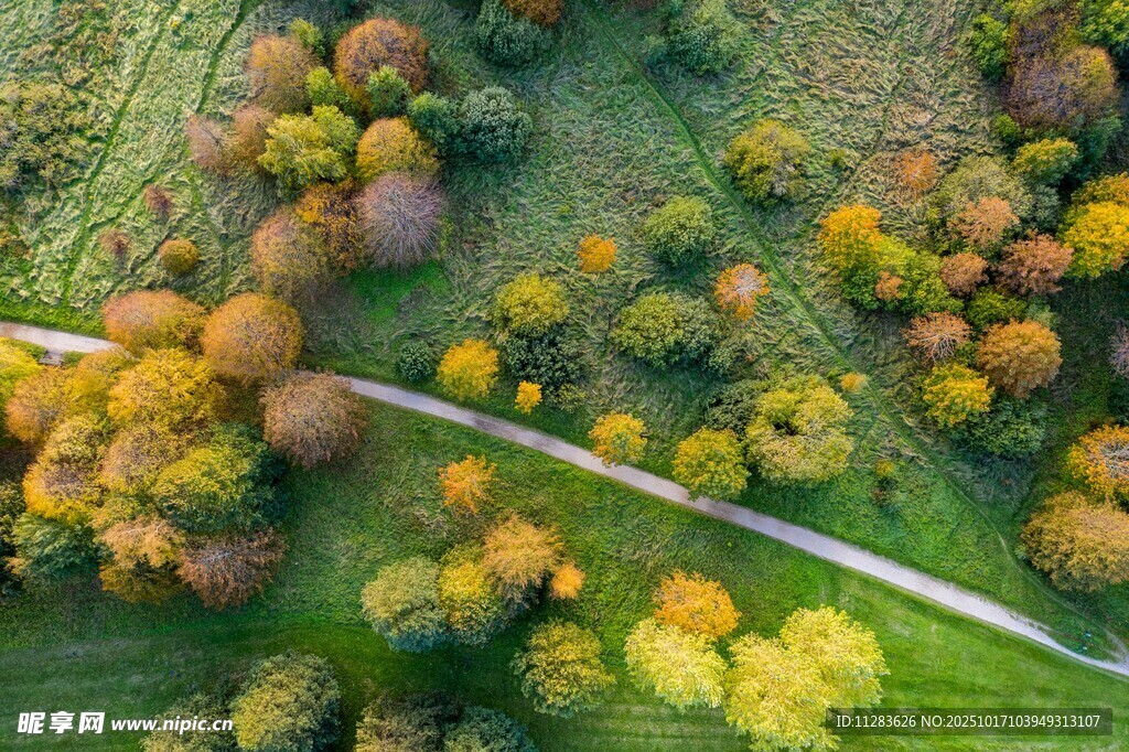 秋日林间蜿蜒小路美景