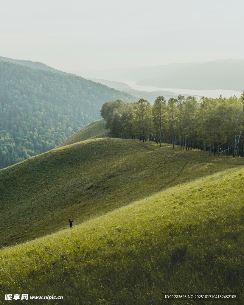 山间绿野