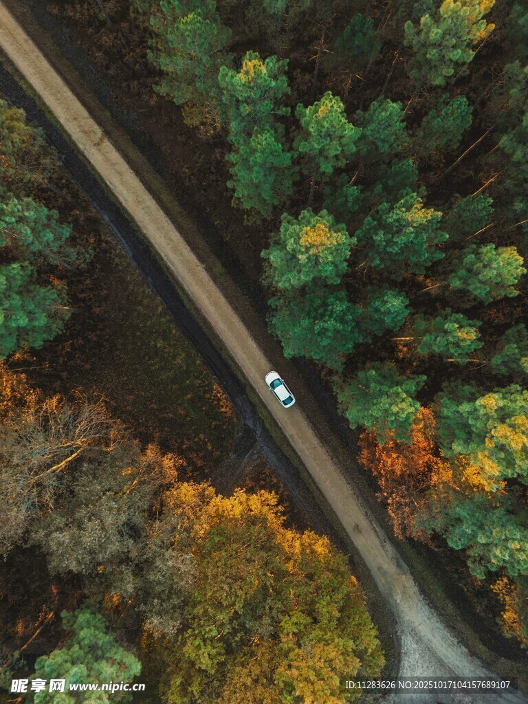 秋日林间公路上的行驶车辆
