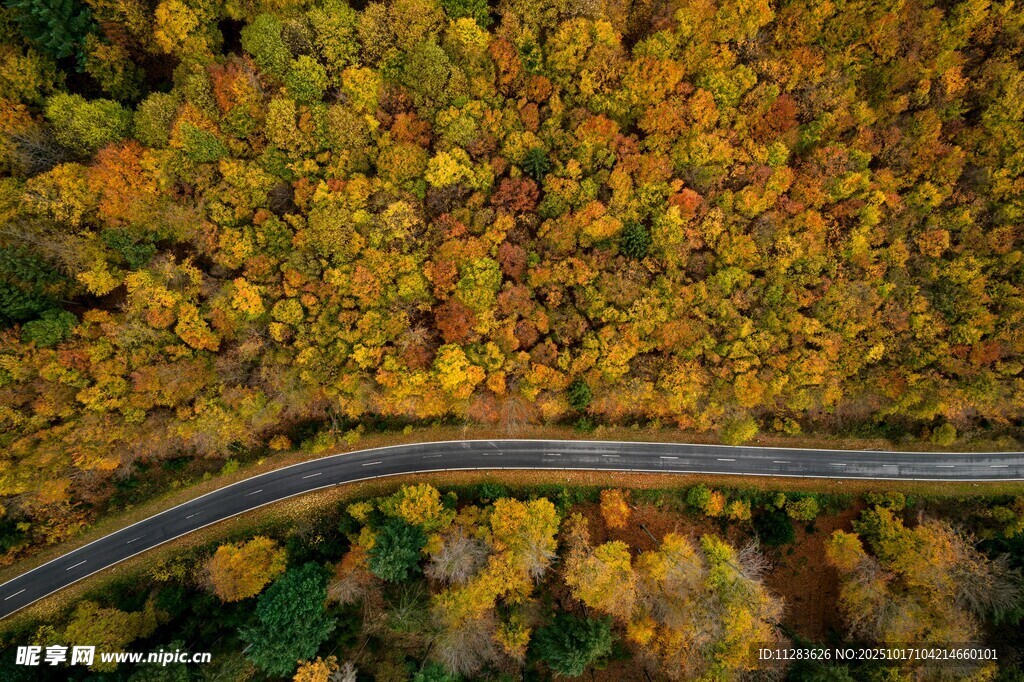 秋日蜿蜒公路的斑斓景致