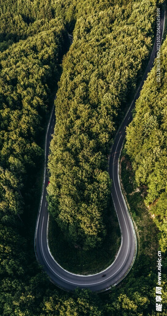 蜿蜒山路穿梭于葱郁山林