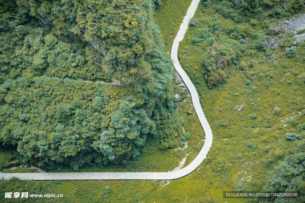 蜿蜒山路穿梭于葱郁山林