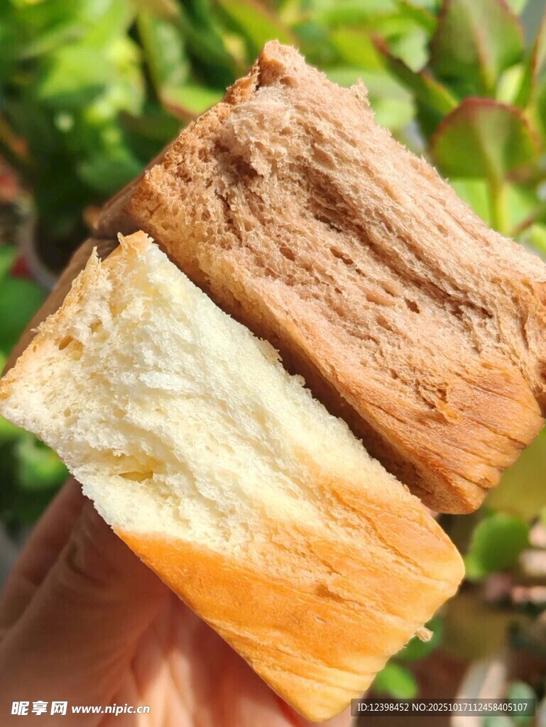 三色美味面包切片展示