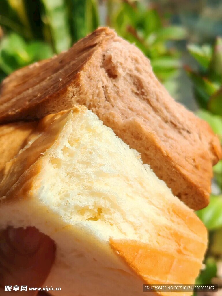 美味多样的特色面包