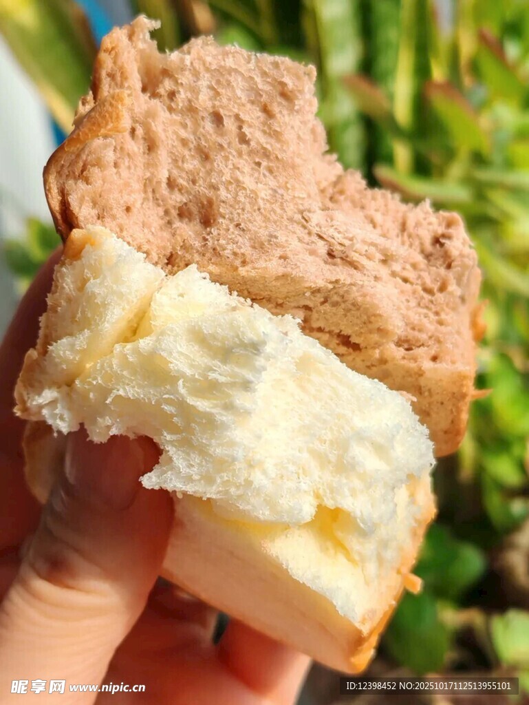 美味双色夹心面包