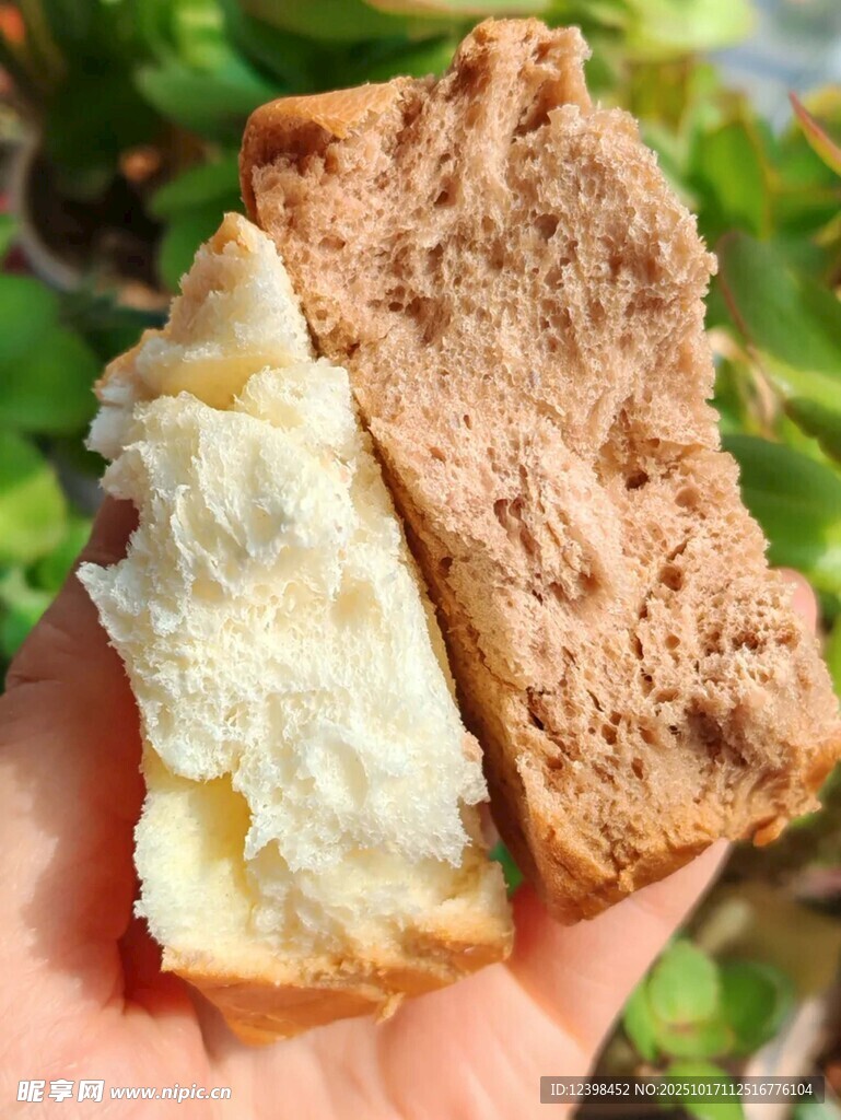 手持双色美味面包