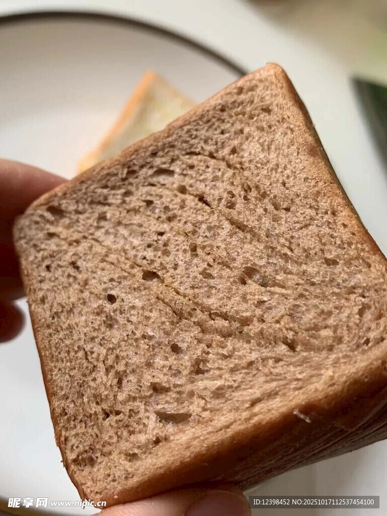 手拿全麦面包片特写