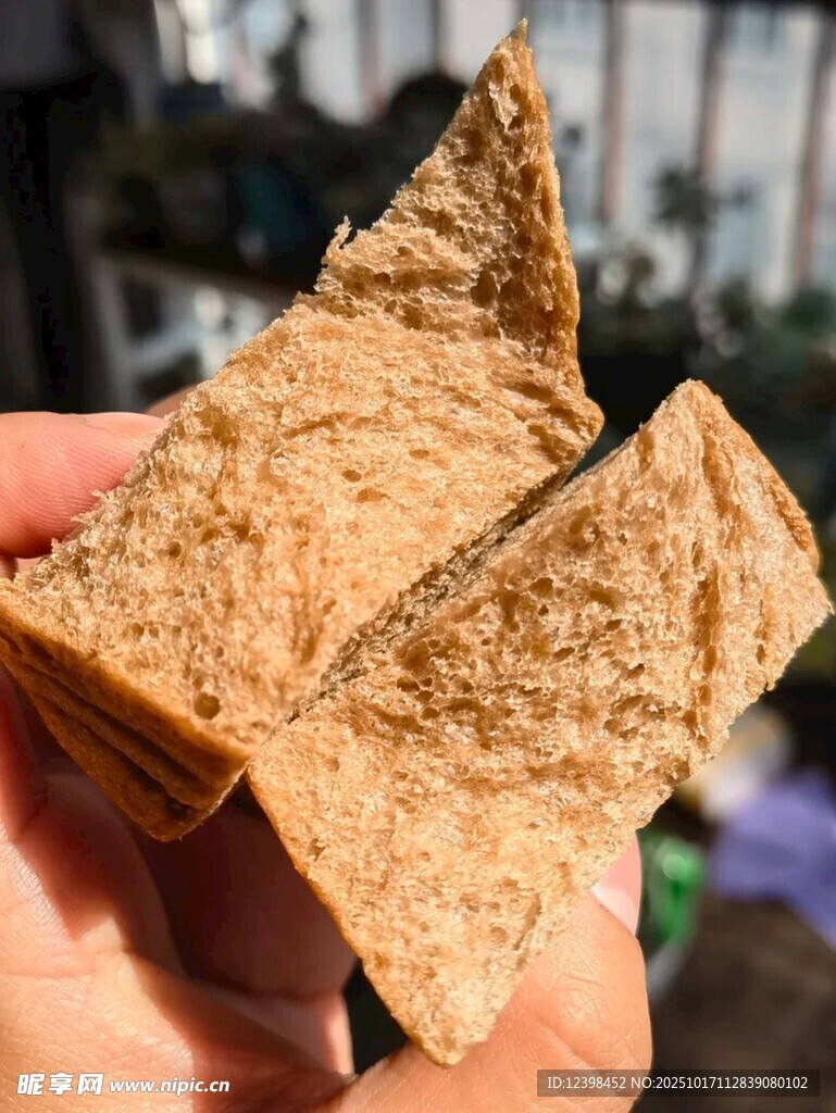 手拿棕色块状物特写