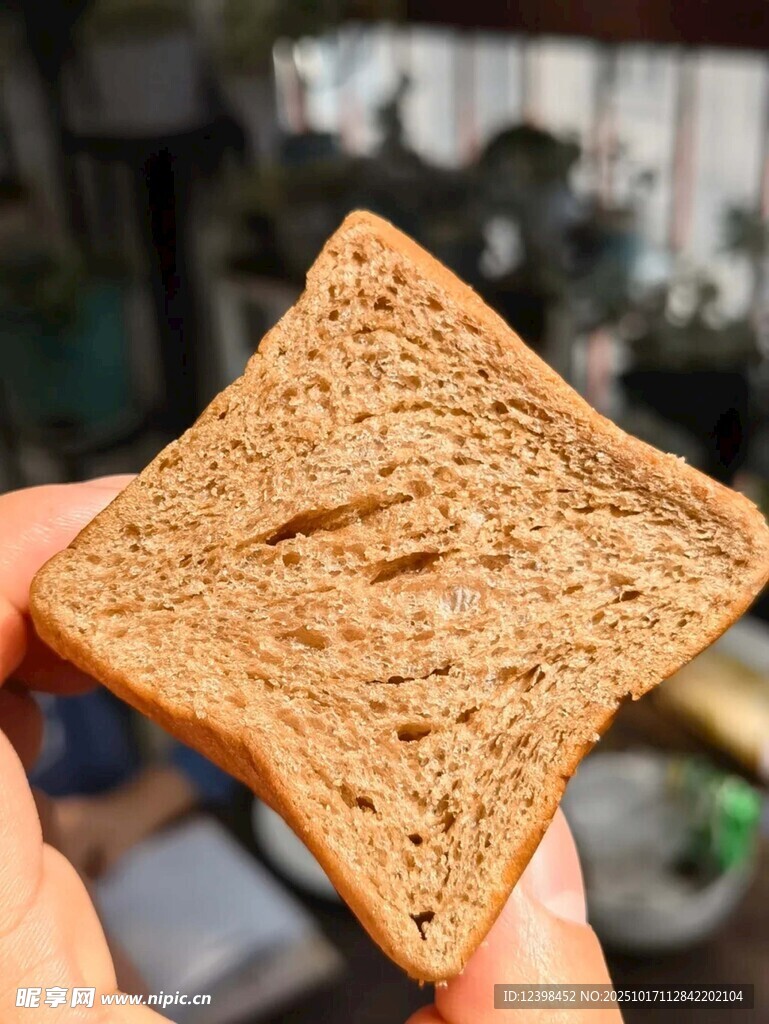 手拿一片全麦吐司面包