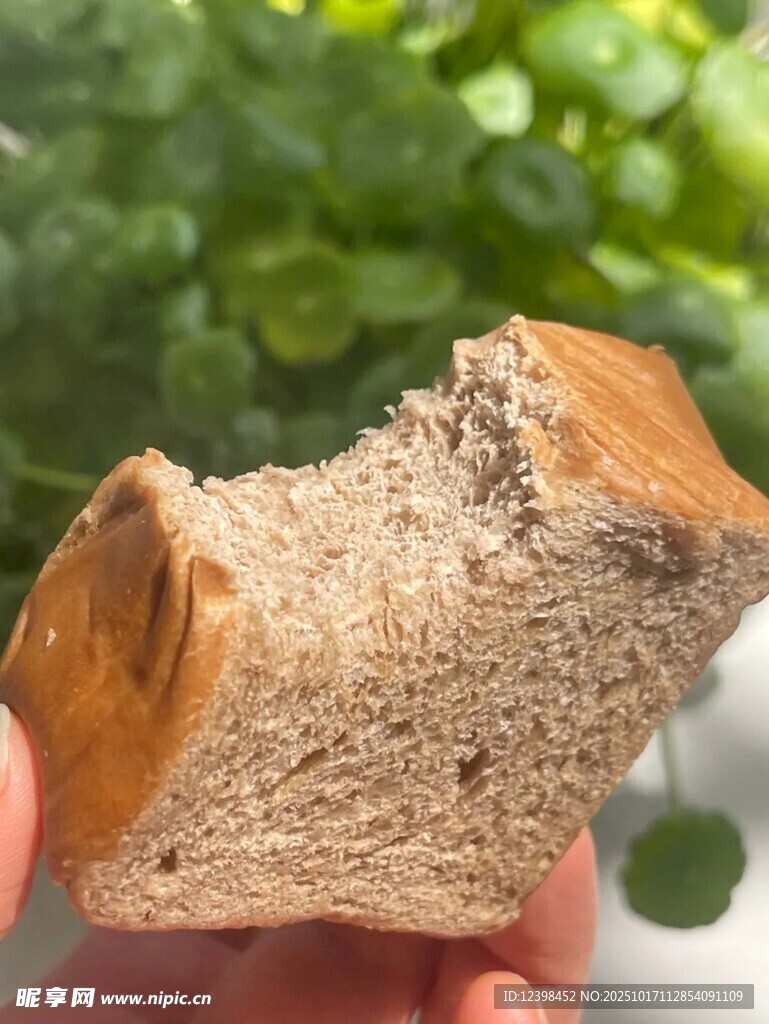 手拿咬过的全麦面包