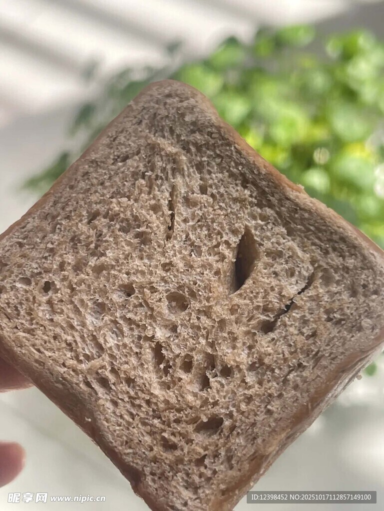 手拿一块全麦面包