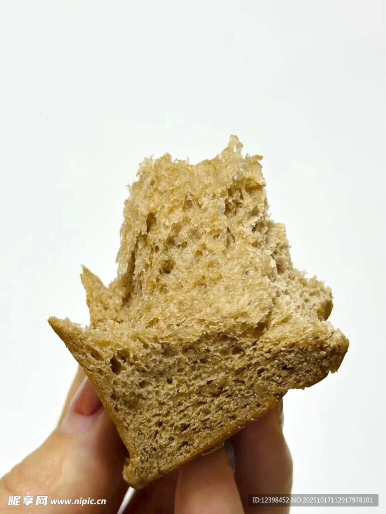 手持粗糙多孔海绵块