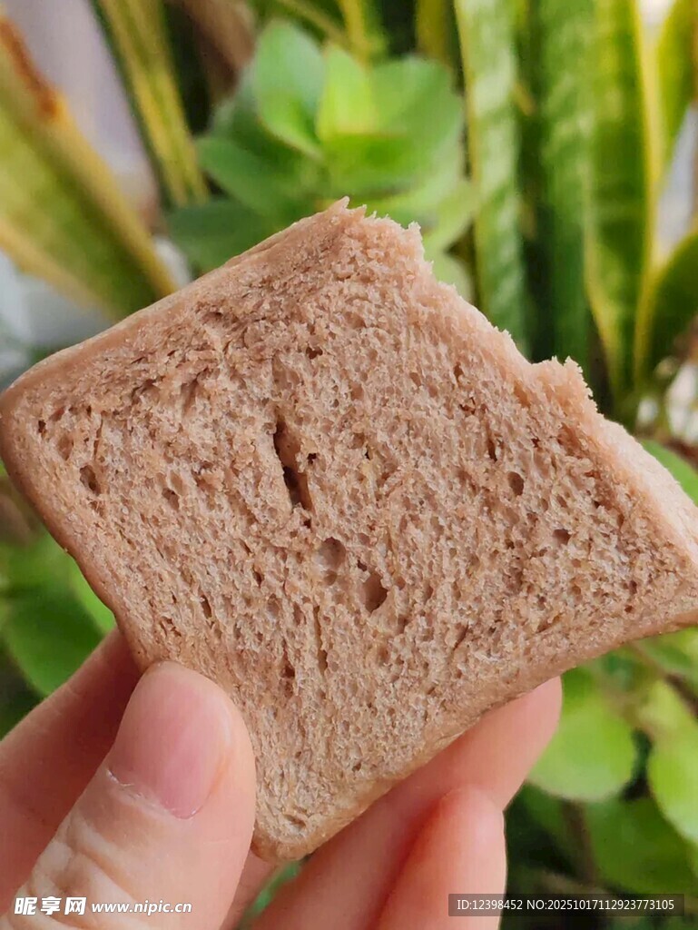 手拿全麦面包特写
