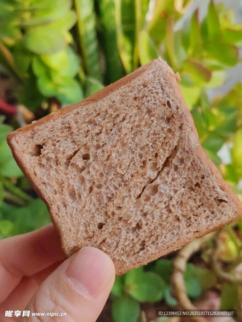 手拿全麦面包特写