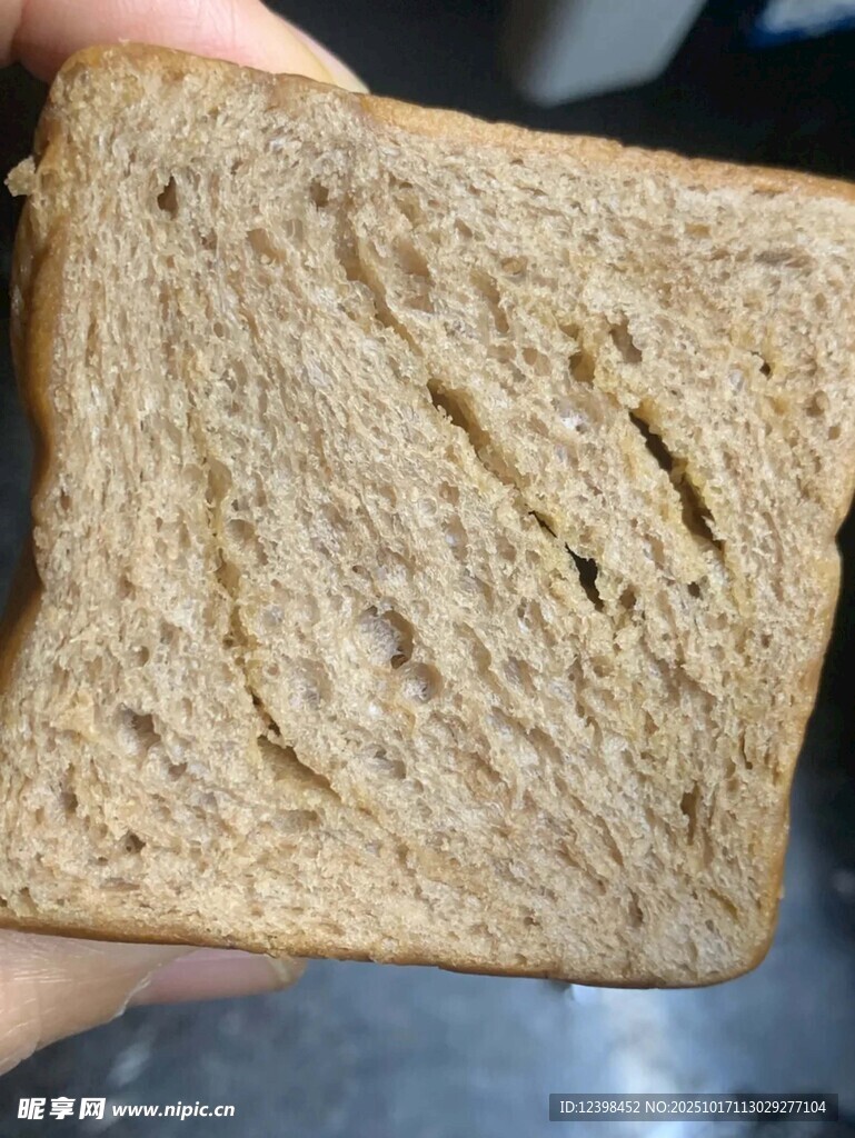 一片全麦面包特写