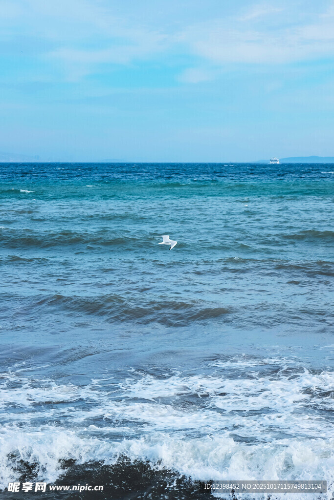 海边浪花与漂浮物景象