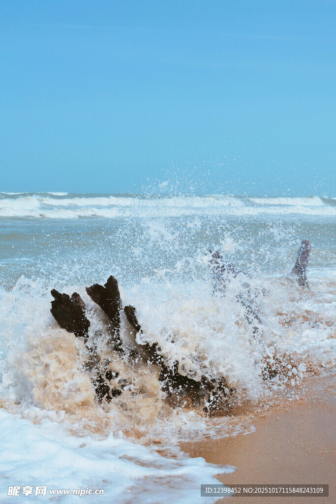海浪拍击沙滩上的残木