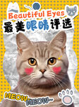猫咪配图海报