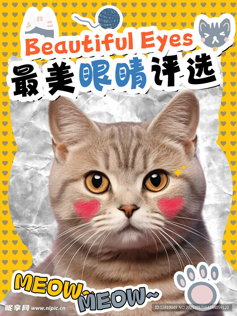 猫咪配图海报