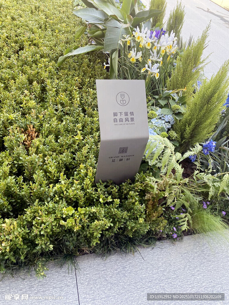 绿植丛中的标识牌