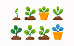 盆栽植物生长插图