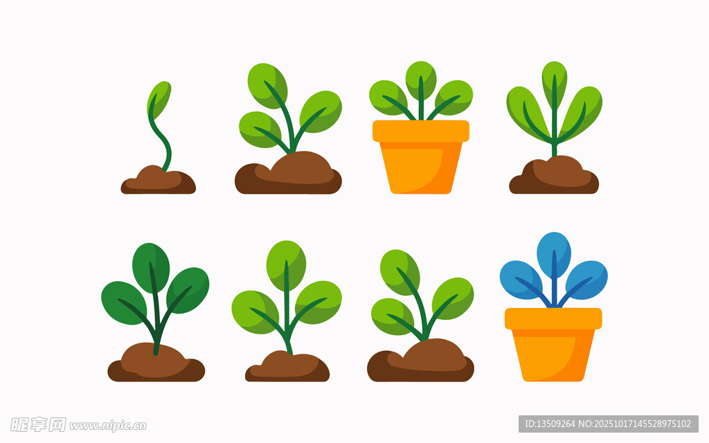 盆栽植物生长插图