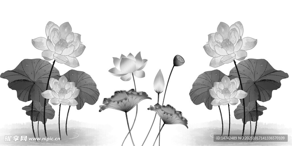 水墨荷花插画