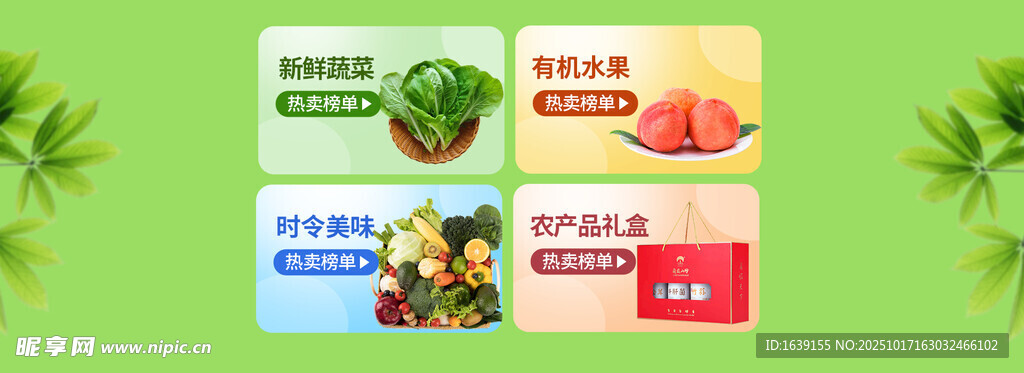 多样蔬果展示