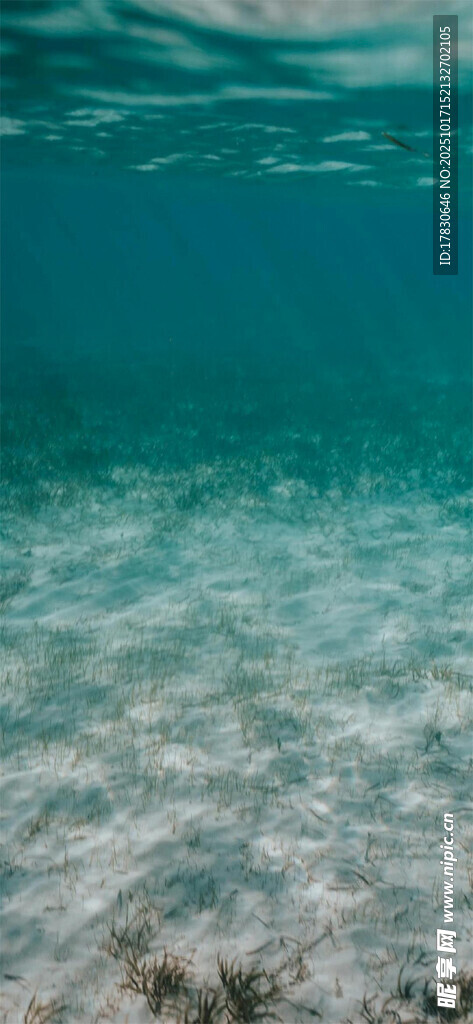 清澈海底世界