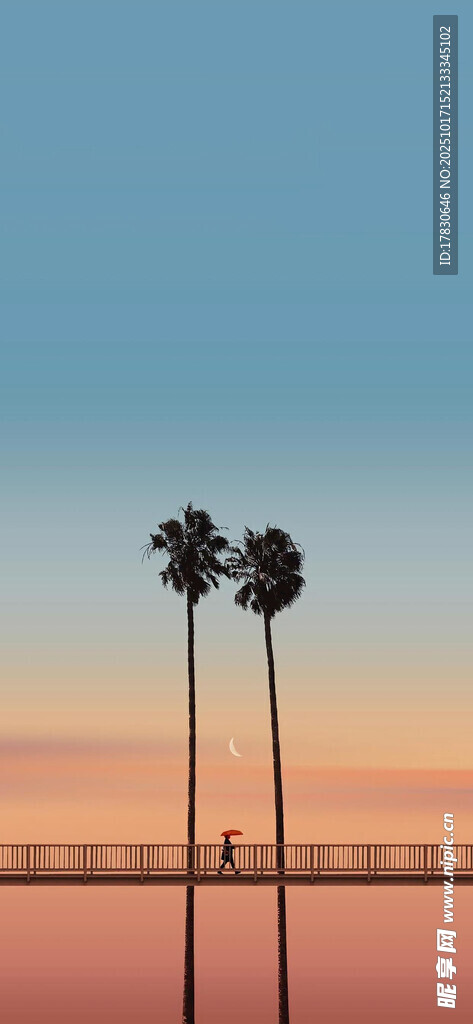 夕阳下的棕榈树与桥梁