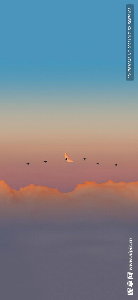 天空中飞鸟的绚丽景致