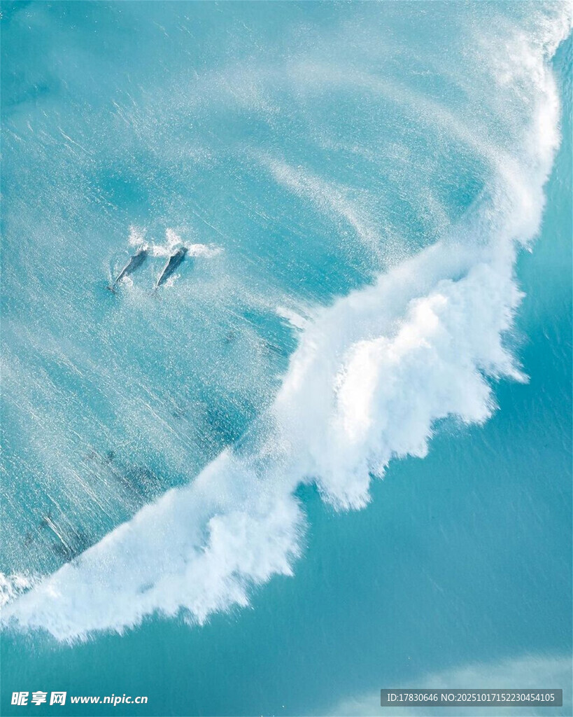 海上摩托艇激起白色浪花