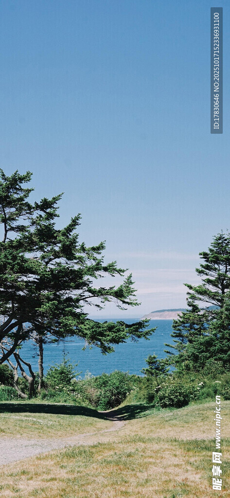 湖畔草地与树木风景