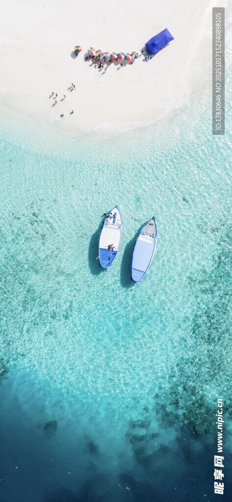 俯瞰清澈海域中的浮潜者