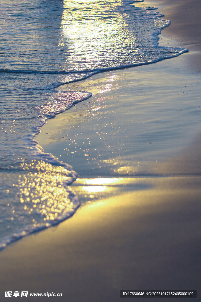 夕阳下的海浪与金色沙滩