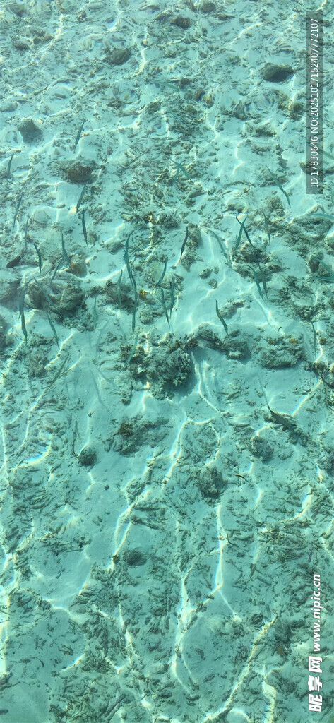 蓝绿色纹理背景图案