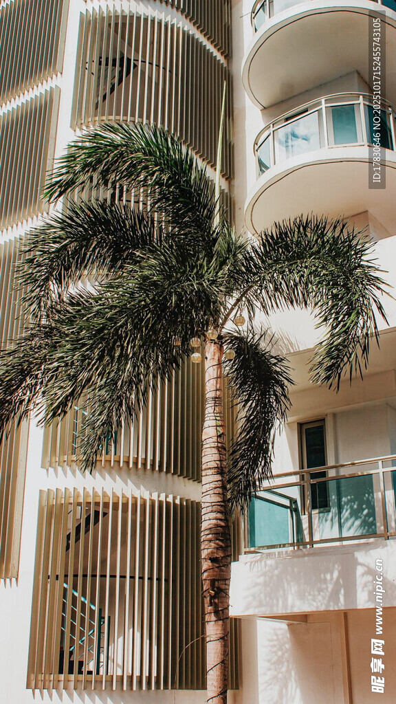 热带风情的现代建筑景观