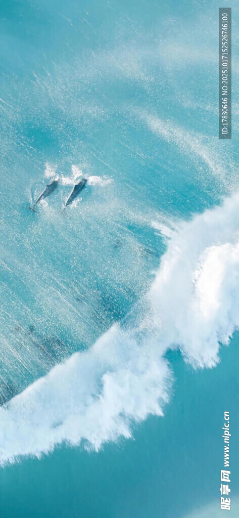 海上冲浪者踏浪而行