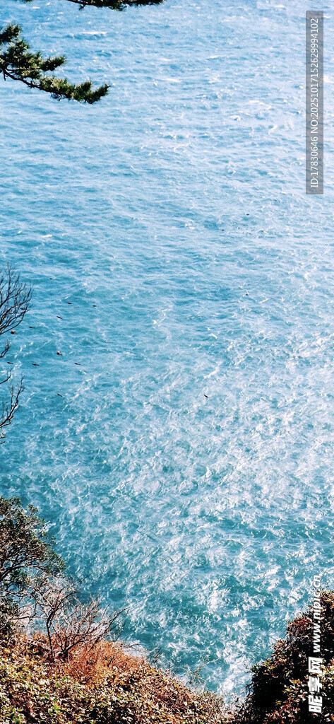 海边景致蔚蓝海水与绿植