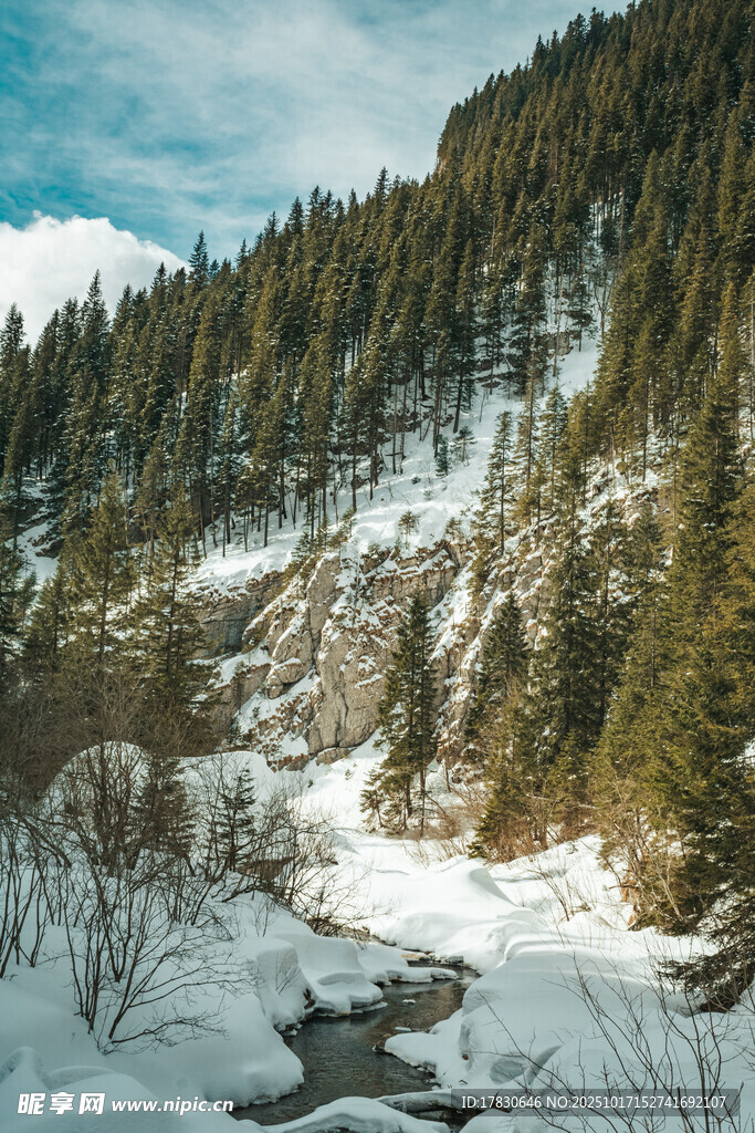 冬日山林雪景溪流美景