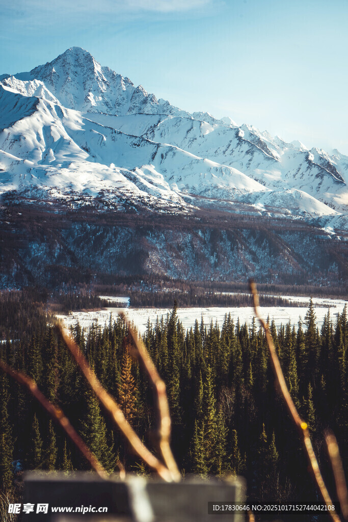 雪山森林壮丽自然景观