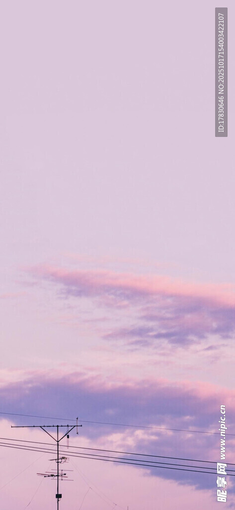 粉紫色天空下的电线杆