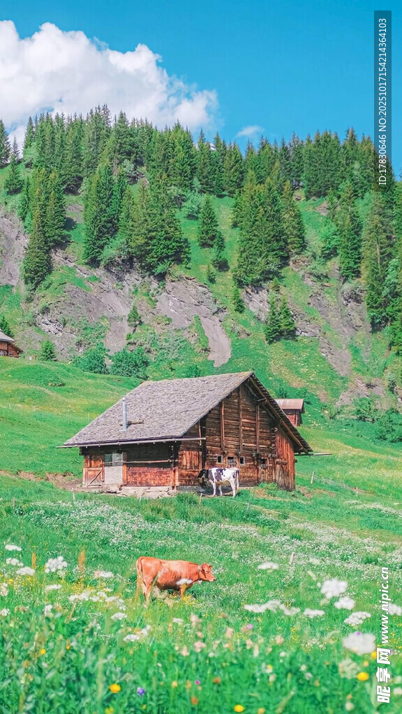 山间木屋旁的田园风光