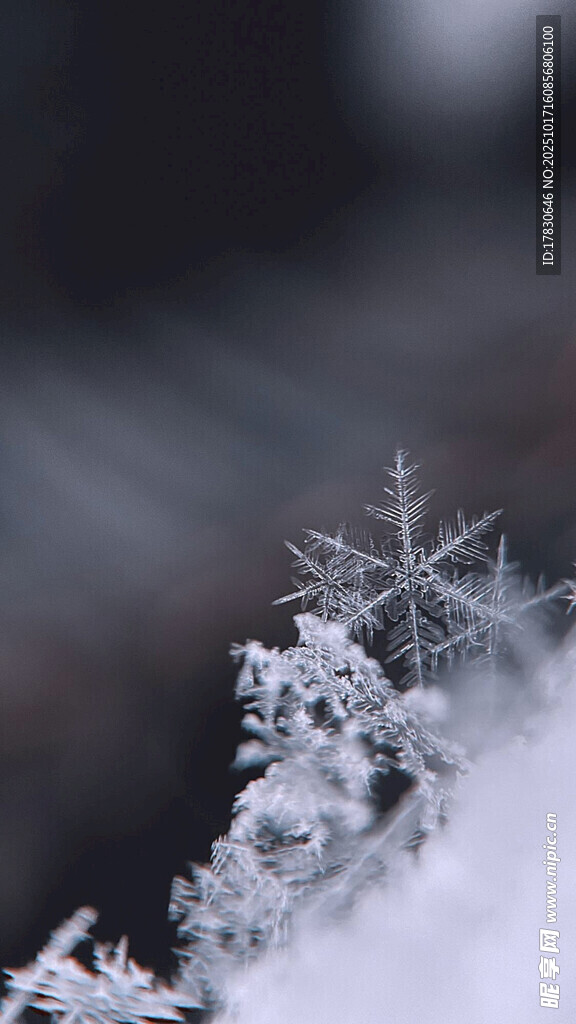 微距下的精致雪花