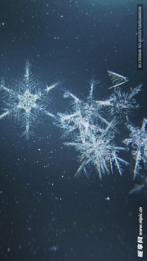 梦幻雪花在夜空中飞舞